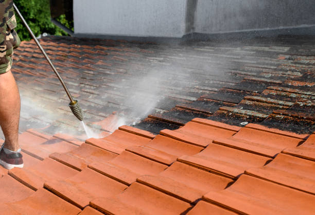 Best Residential Pressure Washing Services  in Celina, TN