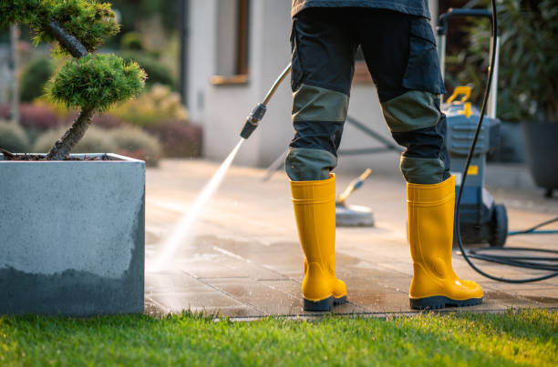 Best Exterior Home Cleaning  in Celina, TN